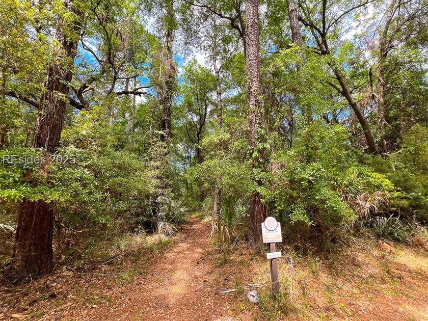This unique corner lot situated on the desirable north end and - photo 4