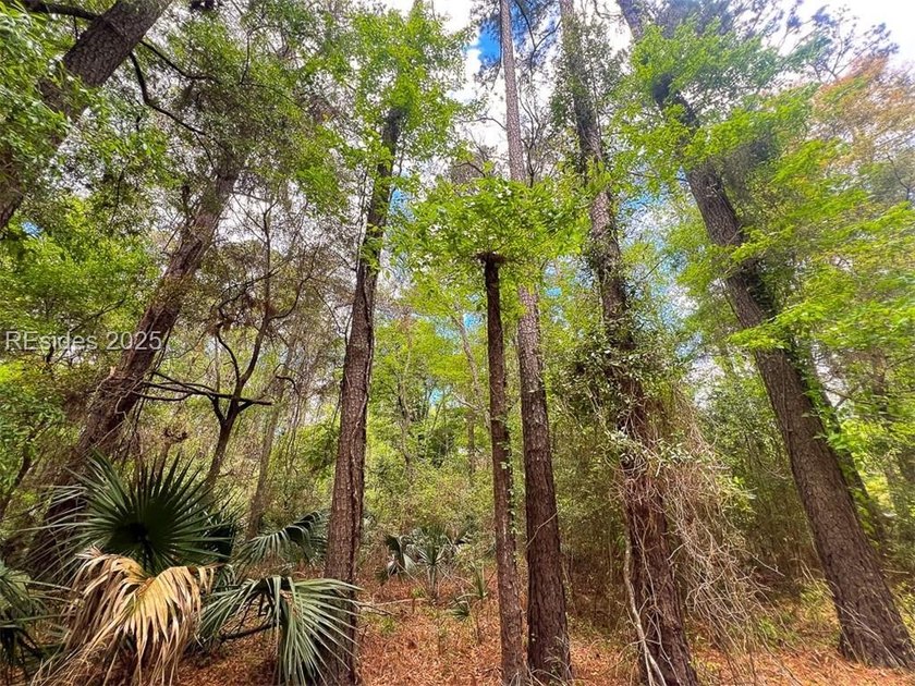 This unique corner lot situated on the desirable north end and - photo 7