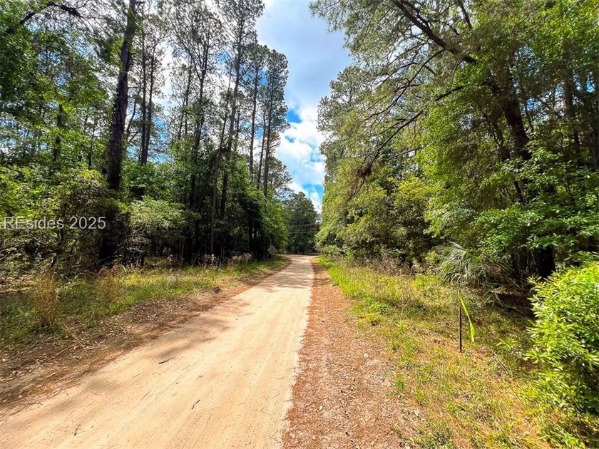 This unique corner lot situated on the desirable north end and - photo 10