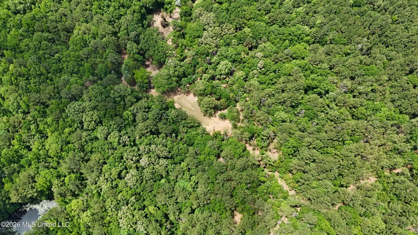 This 164.19 surveyed-acre property on Potluck Road in Canton - photo 2