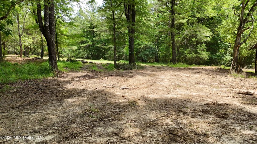 This 164.19 surveyed-acre property on Potluck Road in Canton - photo 7