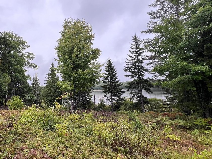 4 +/- acres with 200' shorefront on Western Lake. Nice private - photo 3