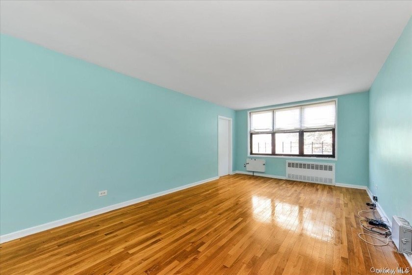 East Flatbush: This Co-Op Apartment Unit Has All The Space You - photo 4