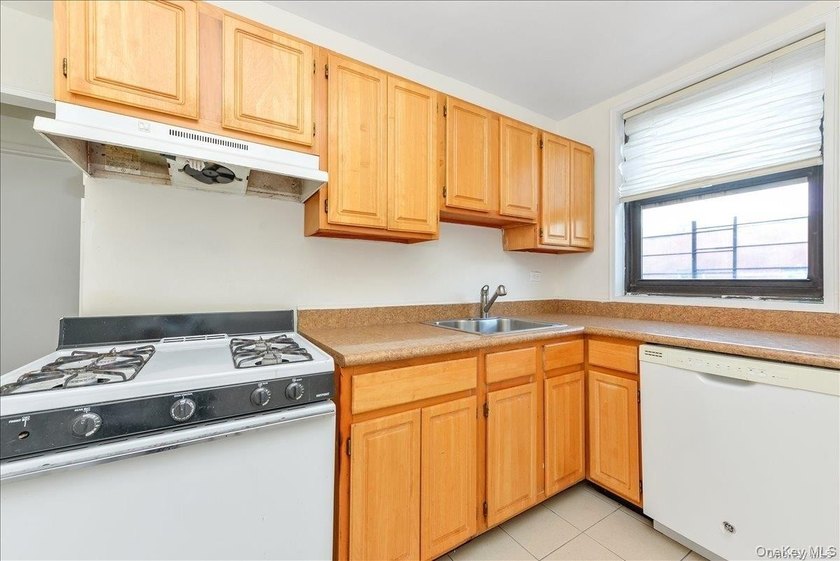 East Flatbush: This Co-Op Apartment Unit Has All The Space You - photo 9