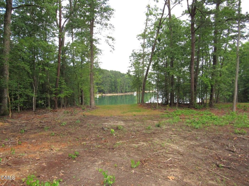 Discover 'The Pointe at Kerr Lake'. An exclusive pool community - photo 3