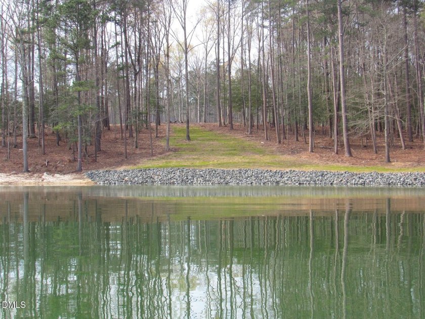 Discover 'The Pointe at Kerr Lake'. An exclusive pool community - photo 8