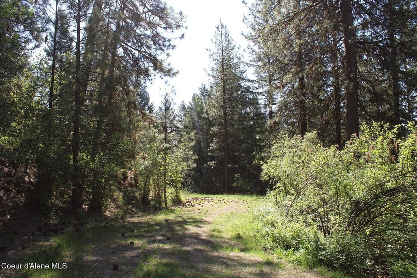 Enjoy the big mountain views and end of the road quiet privacy - photo 22