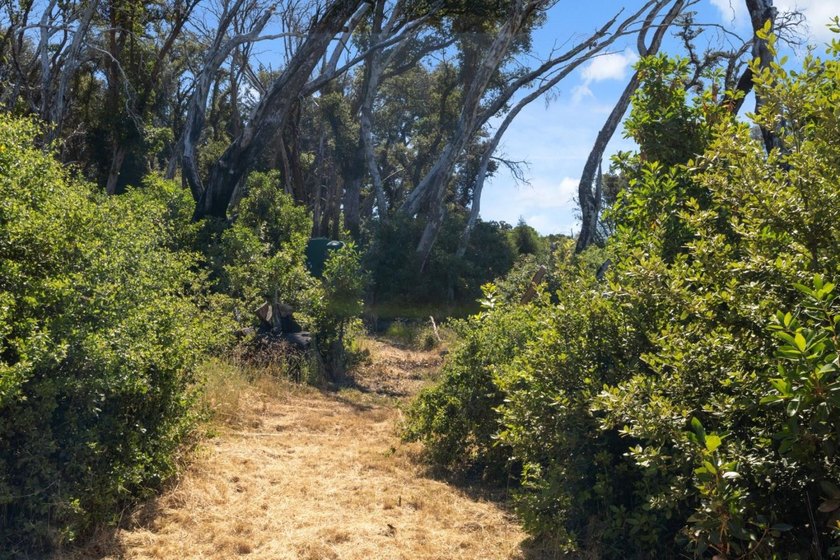 Escape to the beauty of the Santa Cruz Mountains with this - photo 8