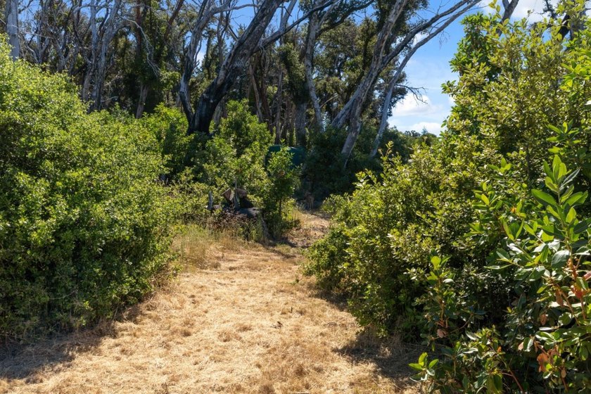 Escape to the beauty of the Santa Cruz Mountains with this - photo 9