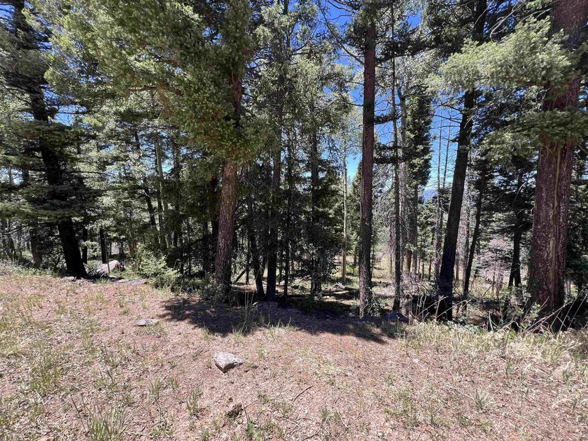 If you're looking for a quiet location that also has nearby - photo 11