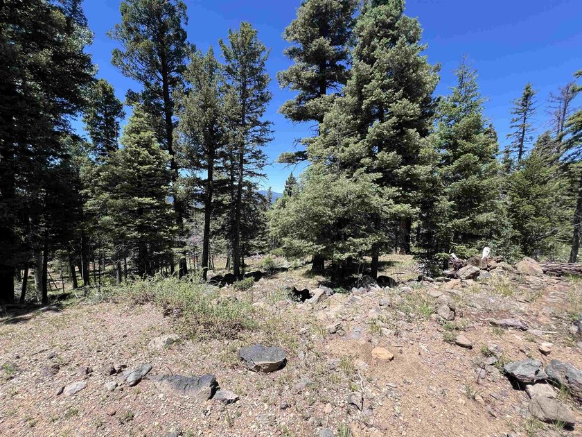 If you're looking for a quiet location that also has nearby - photo 12