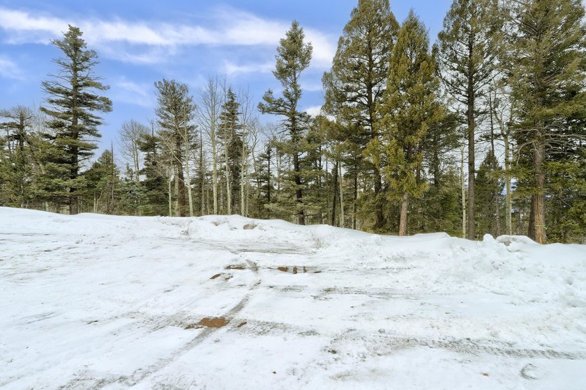 If you're looking for a quiet location that also has nearby - photo 13