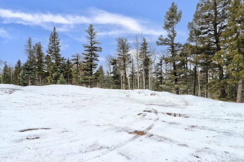 If you're looking for a quiet location that also has nearby - photo 14