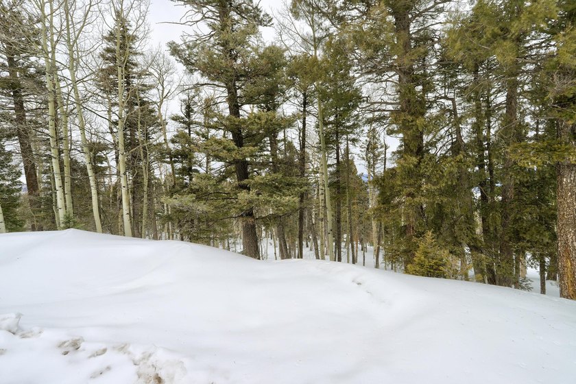 If you're looking for a quiet location that also has nearby - photo 17
