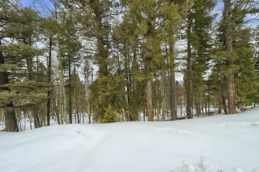 If you're looking for a quiet location that also has nearby - photo 18