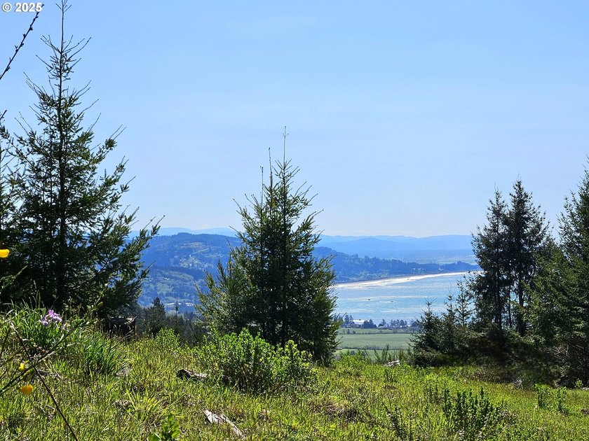 Spectacular Oceanview Acreage - No CC&amp;Rs or HOA! Nestled along a - photo 11