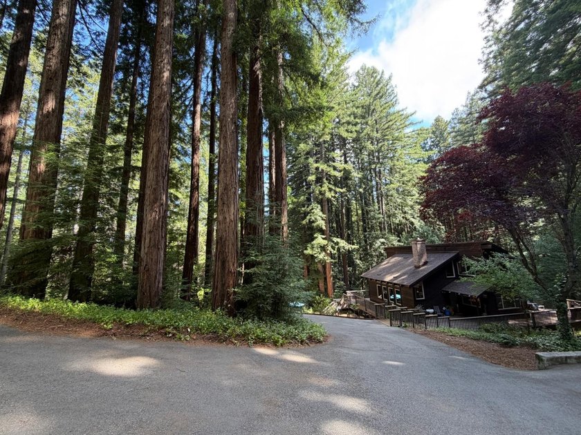 A private road and paved, circular driveway lead to this custom - photo 2