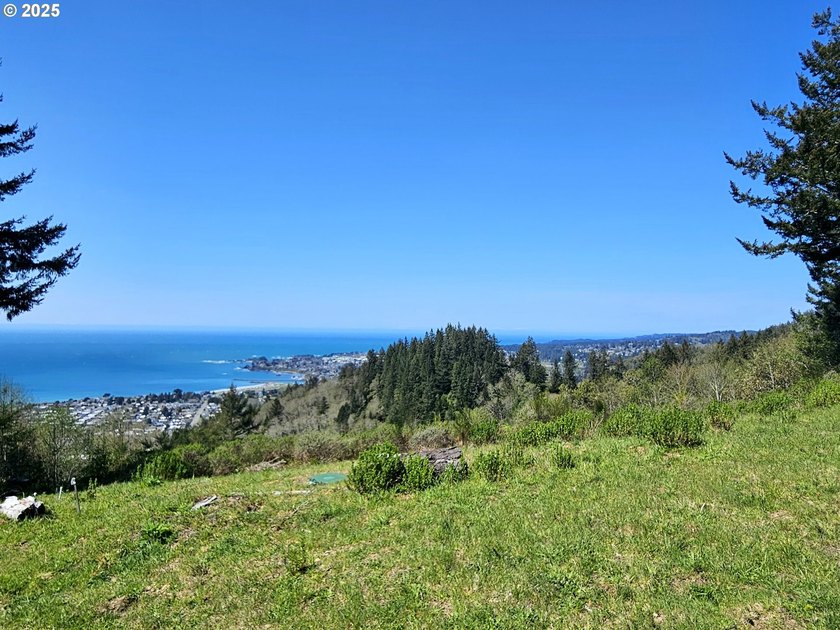 Spectacular Oceanview Acreage - No CC&amp;Rs or HOA! Nestled along a - photo 14