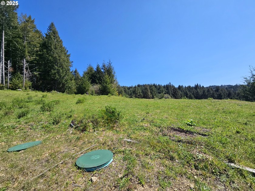 Spectacular Oceanview Acreage - No CC&amp;Rs or HOA! Nestled along a - photo 15