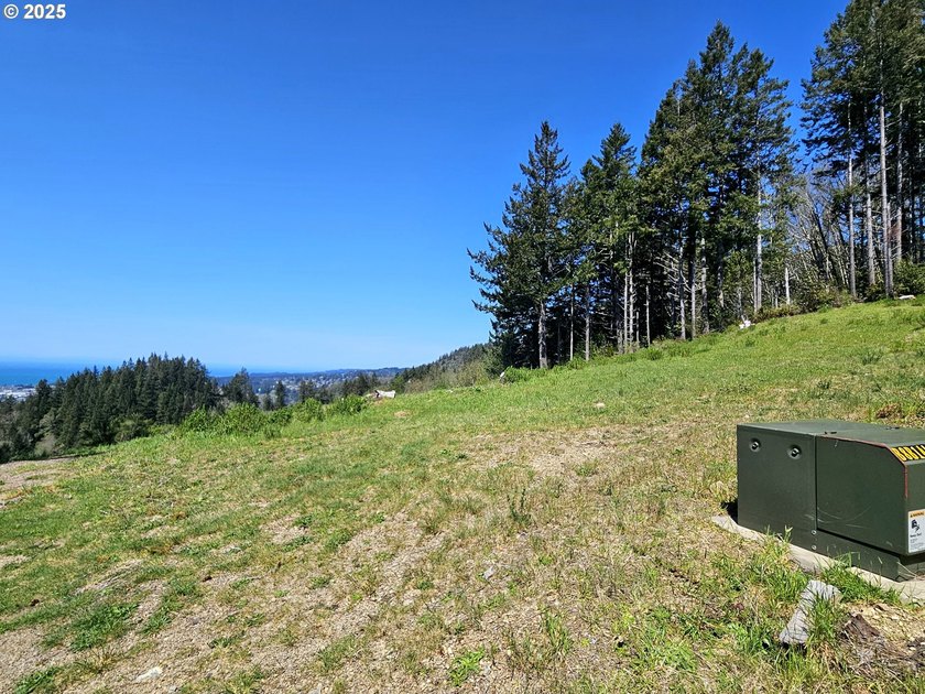 Spectacular Oceanview Acreage - No CC&amp;Rs or HOA! Nestled along a - photo 16