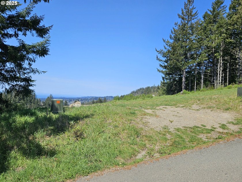 Spectacular Oceanview Acreage - No CC&amp;Rs or HOA! Nestled along a - photo 17