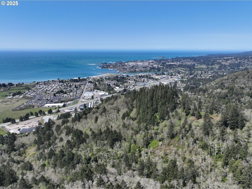 Spectacular Oceanview Acreage - No CC&amp;Rs or HOA! Nestled along a - photo 19