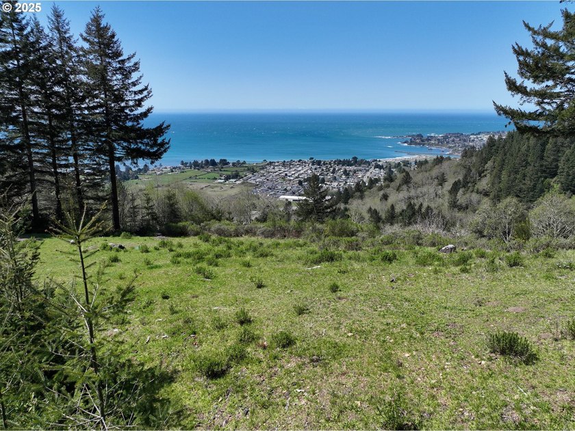 Spectacular Oceanview Acreage - No CC&amp;Rs or HOA! Nestled along a - photo 21