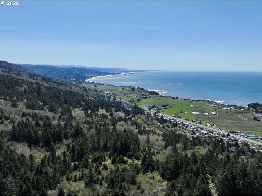 Spectacular Oceanview Acreage - No CC&amp;Rs or HOA! Nestled along a - photo 23