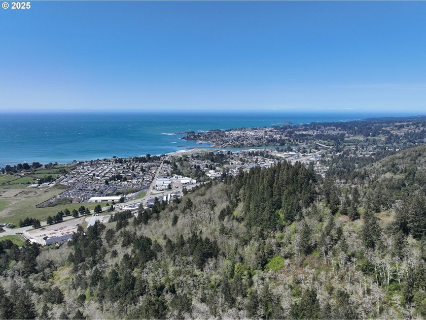 Spectacular Oceanview Acreage - No CC&amp;Rs or HOA! Nestled along a - photo 24