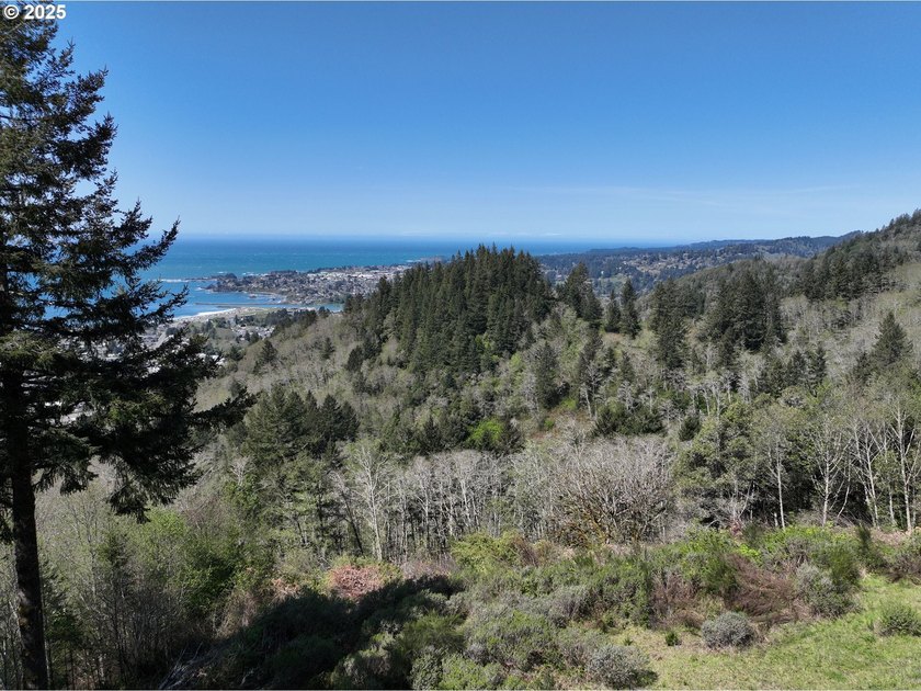 Spectacular Oceanview Acreage - No CC&amp;Rs or HOA! Nestled along a - photo 25