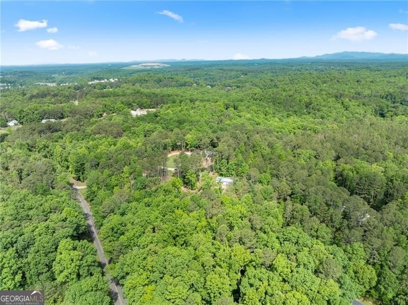 RARE OPPORTUNITY! Set on 4.4 private acres in one of Forsyth - photo 47