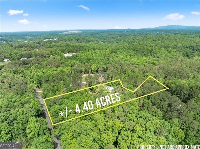 RARE OPPORTUNITY! Set on 4.4 private acres in one of Forsyth - photo 48