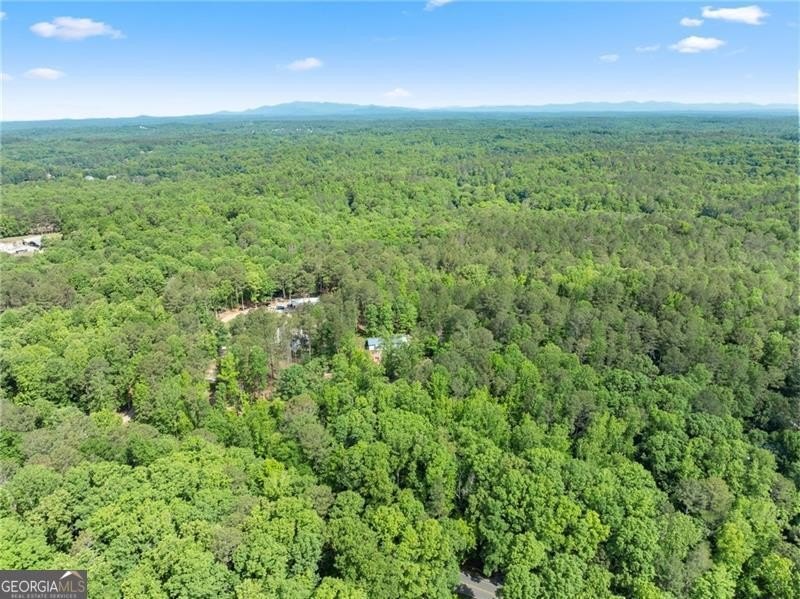 RARE OPPORTUNITY! Set on 4.4 private acres in one of Forsyth - photo 49