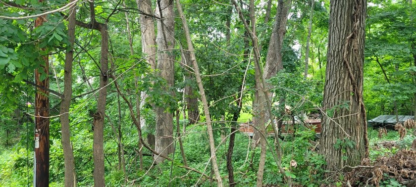 Wooded, oversized 160' x 100' lot with direct access to Como - photo 4