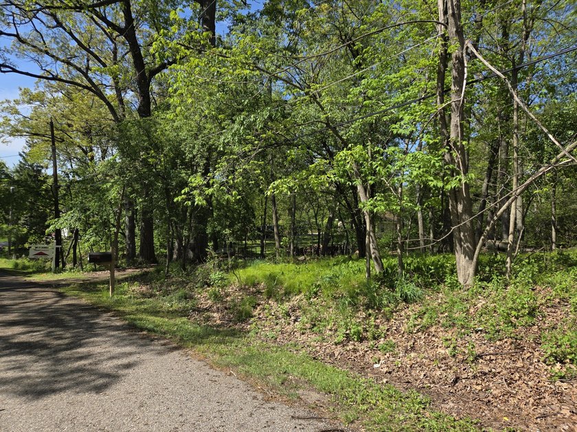 Wooded, oversized 160' x 100' lot with direct access to Como - photo 8
