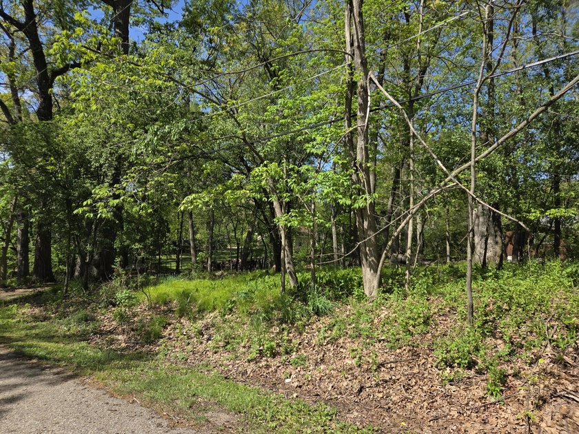 Wooded, oversized 160' x 100' lot with direct access to Como - photo 9