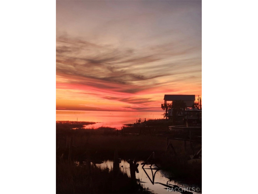 Located at 1860 Ezell Beach Rd in the heart of Keaton Beach - photo 7