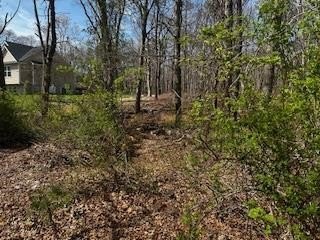 Calling All Investors, Builders, Home Buyers! Level .21 Acre - photo 3