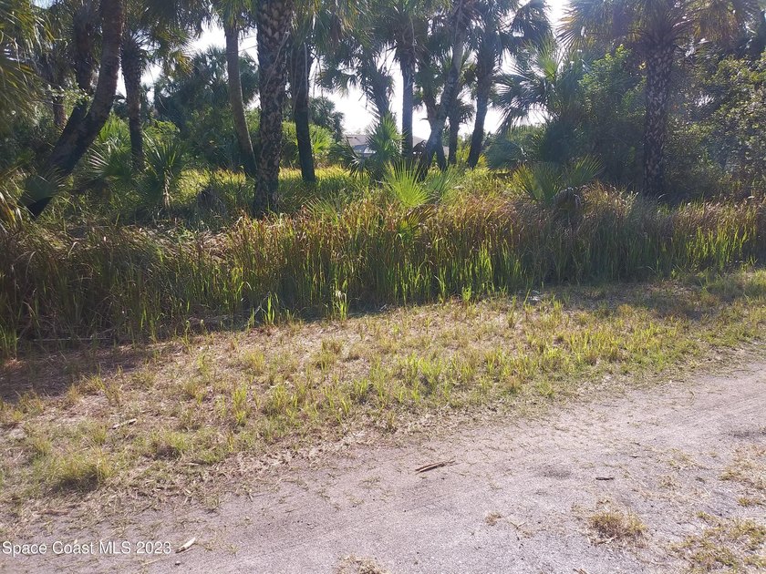 NICE BUILDABLE LOT!! EXCELLENT LOCATION CLOSE TO BAYSIDE SHOPS - photo 2