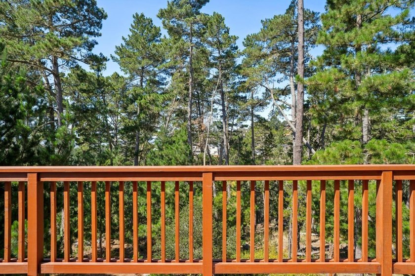 Wake up to views of the pine trees, the Santa Lucia mountains - photo 8