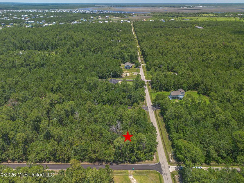 Underdeveloped corner lot ready to build your dream home, second - photo 2