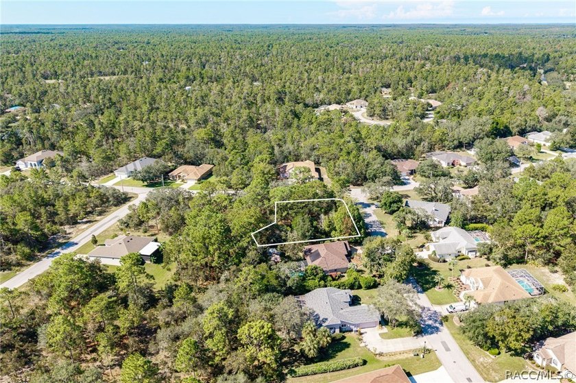 Build your dream home on this oversized, corner lot in Sugarmill - photo 3