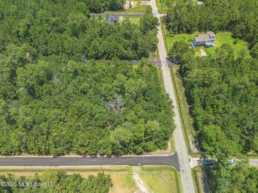 Underdeveloped corner lot ready to build your dream home, second - photo 4