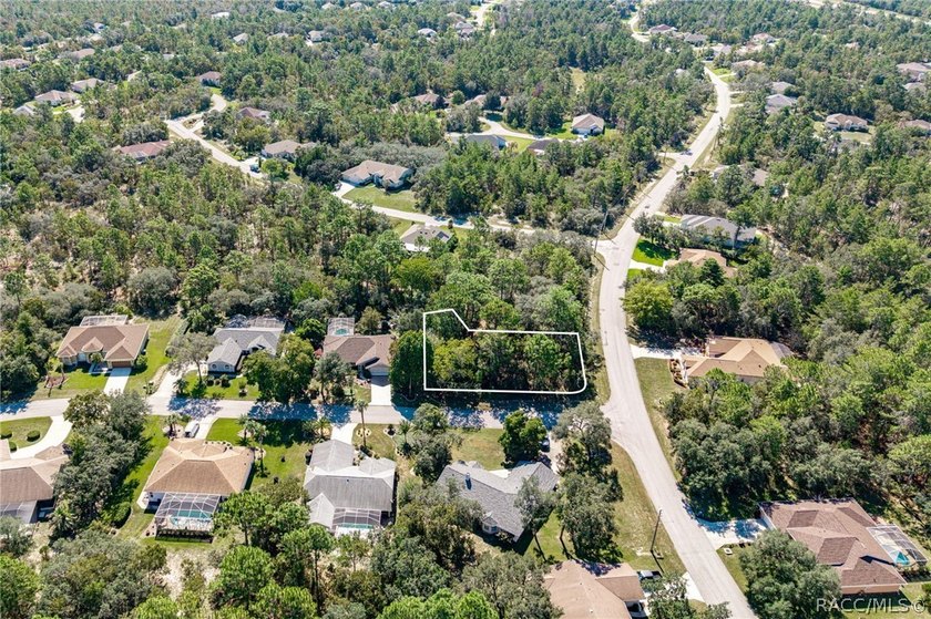 Build your dream home on this oversized, corner lot in Sugarmill - photo 6