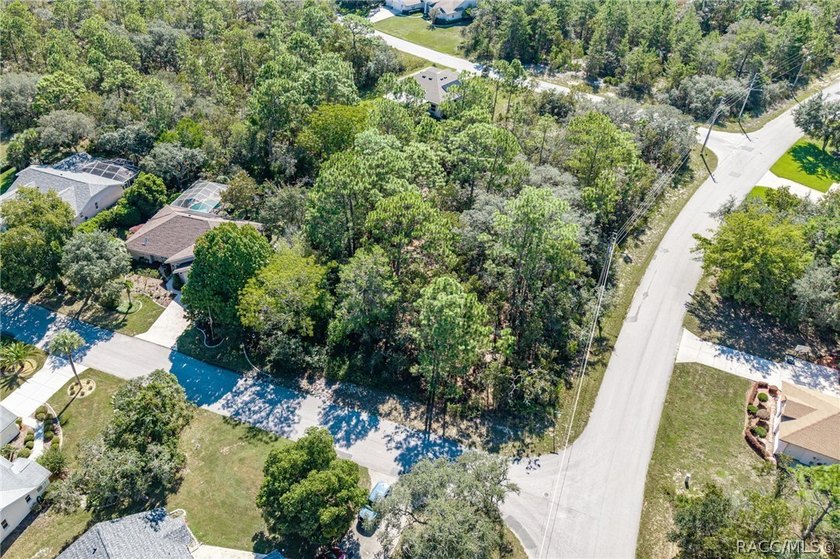 Build your dream home on this oversized, corner lot in Sugarmill - photo 9
