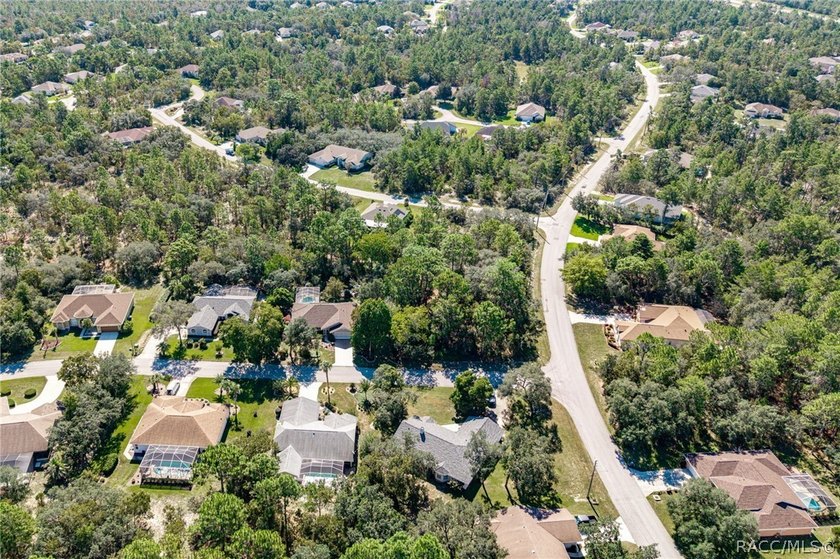 Build your dream home on this oversized, corner lot in Sugarmill - photo 10