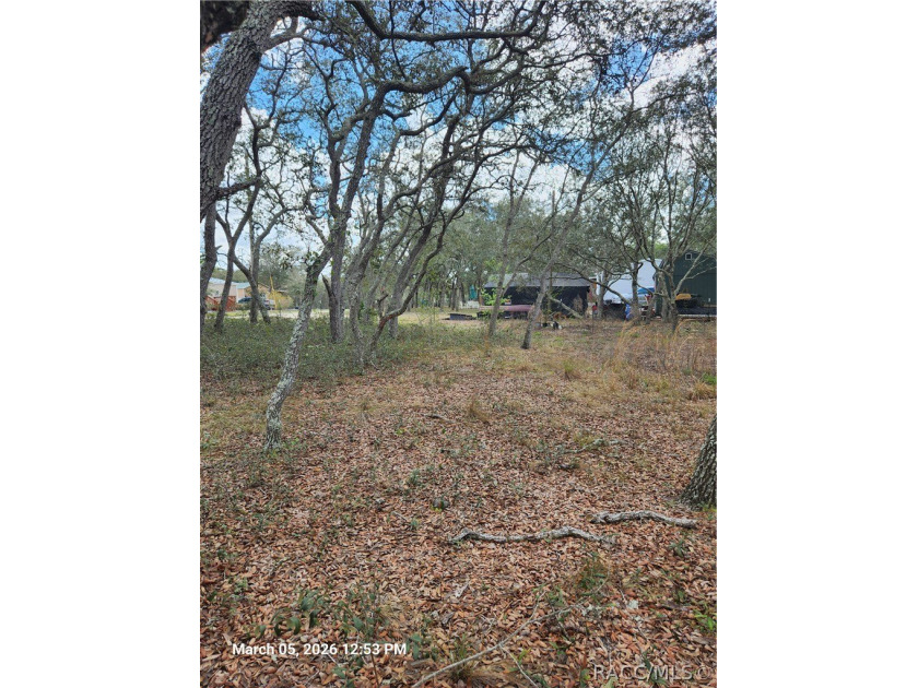 Take a look at the 360 view to get a better look at the layout - photo 4