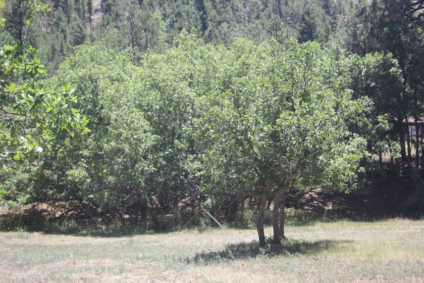Sit by the Cimarron River and listen to it's secrets with a - photo 24