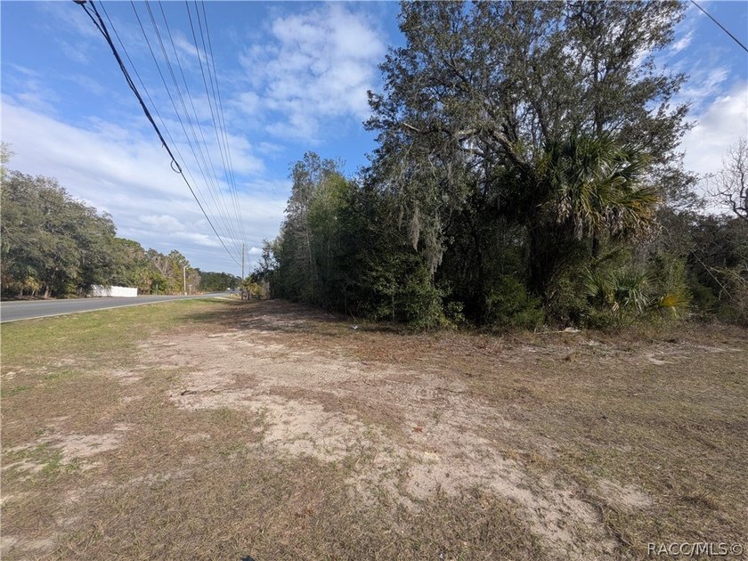 Don't Miss Out On This Fantastic Piece Of Florida Residential - photo 3
