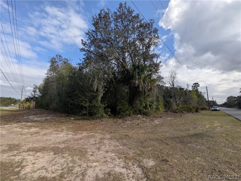 Don't Miss Out On This Fantastic Piece Of Florida Residential - photo 4